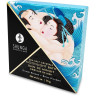 Ароматическая соль для ванны мини-версия SHUNGA MOONLIGHT BATH OCEAN BREEZE (ОКЕАНСКИЙ БРИЗ) 6601 SG