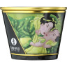 Массажное арома масло в виде свечи SHUNGA EXOTIC GREEN TEA (ЗЕЛЕНЫЙ ЧАЙ) 170 ml 4511DESC